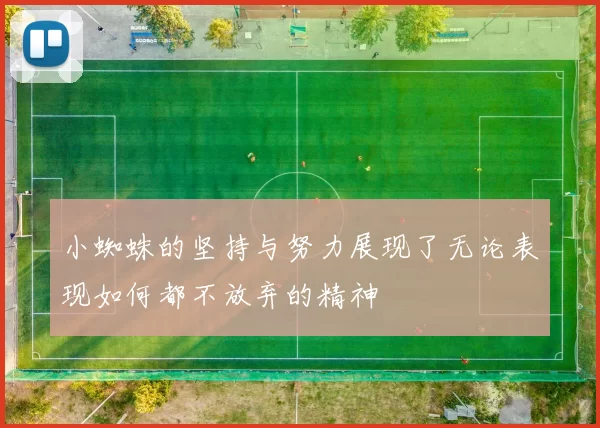小蜘蛛的坚持与努力展现了无论表现如何都不放弃的精神